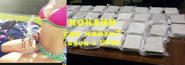прущие грибы Михайловка