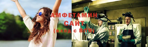 мдпв Михайлов