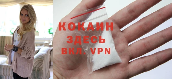 прущие грибы Михайловка