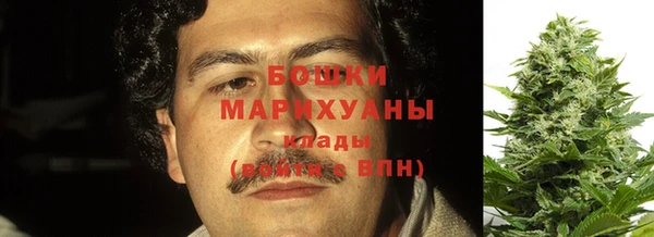 ПСИЛОЦИБИНОВЫЕ ГРИБЫ Михайловск