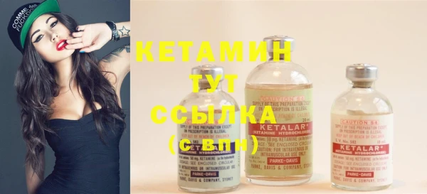 прущие грибы Михайловка