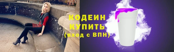 прущие грибы Михайловка
