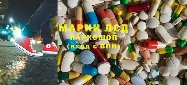 прущие грибы Михайловка