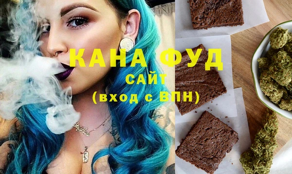 мдпв Михайлов