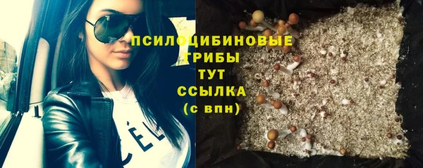 мдпв Михайлов