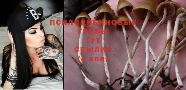 ПСИЛОЦИБИНОВЫЕ ГРИБЫ Михайловск