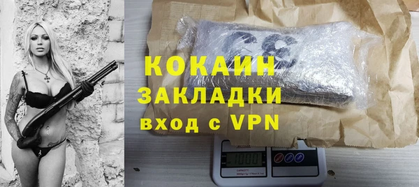 прущие грибы Михайловка