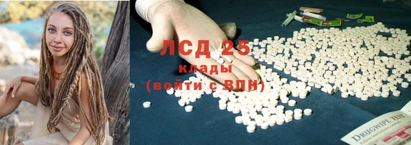 ПСИЛОЦИБИНОВЫЕ ГРИБЫ Михайловск