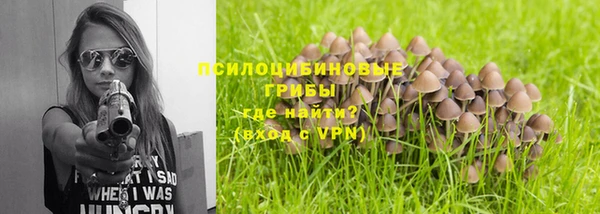 мдпв Михайлов