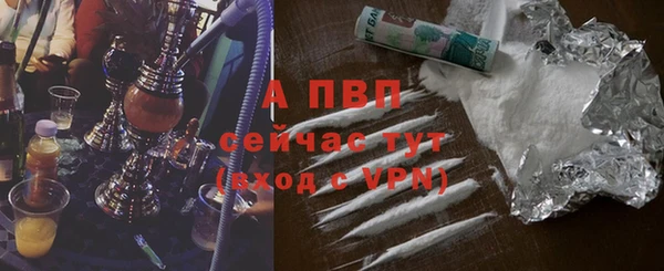 прущие грибы Михайловка