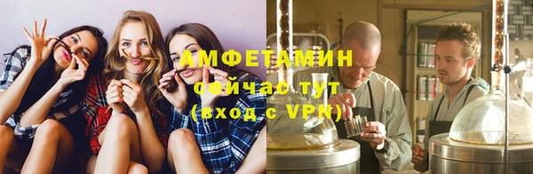мдпв Михайлов