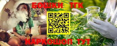 сатива Гагарин