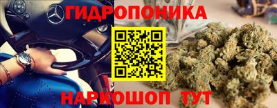 мяу мяу мука Бийск