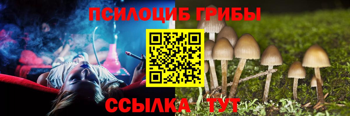 Псилоцибиновые грибы мухоморы Всеволожск