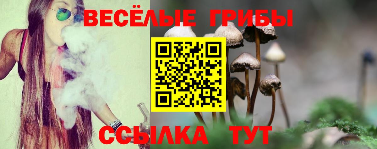 Всеволожск  Псилоцибиновые грибы ЛСД  Галлюциногенные грибы Psilocybine cubensis  Вход с VPN 