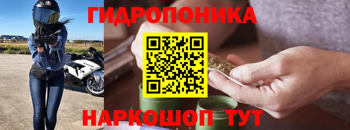 Бошки Шишки Ganja  Бошки Шишки MAZAR  МАРИХУАНА семена  Всеволожск 